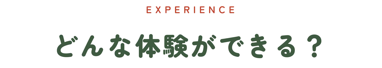EXPERIENCE どんな体験ができる？