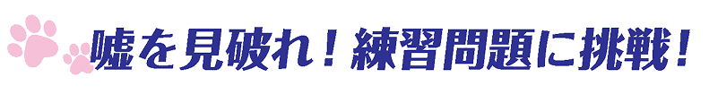 嘘を見破れ！練習問題に挑戦！