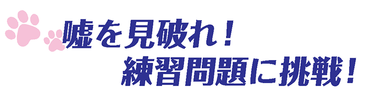 嘘を見破れ！練習問題に挑戦！