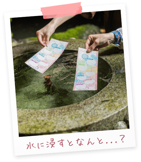 水に浸すとなんと…?