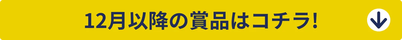 12月以降の商品はコチラ!