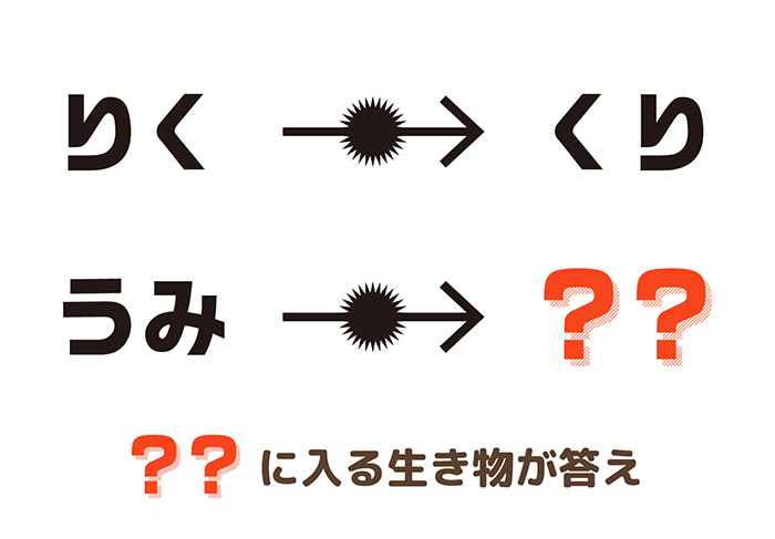 謎解き第4問(レベル1):矢印と記号の法則から生き物の名前を導く問題
